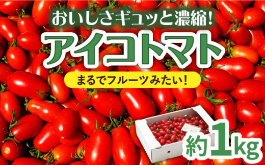 【完熟ミニトマト】アイコトマト 約1kg / とまと トマト 野菜 / 南島 
