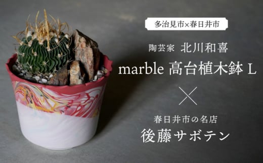 多治見市×春日井市コラボ 【美濃焼】 陶芸家「北川和喜」 marble 高台植木鉢 L × 【日本有数のサボテンの生産地】 春日井市の名店 後藤サボテン 【井澤コーポレーション】 [TBP172] 1124120 - 岐阜県多治見市