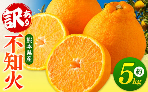 【 ご家庭用 訳あり 】 不知火 5kg （ デコポン と同品種 ） 柑橘 みかん フルーツ 訳あり でこみかん 果物 熊本県産 生産量全国一位！ 1124844 - 熊本県玉名市