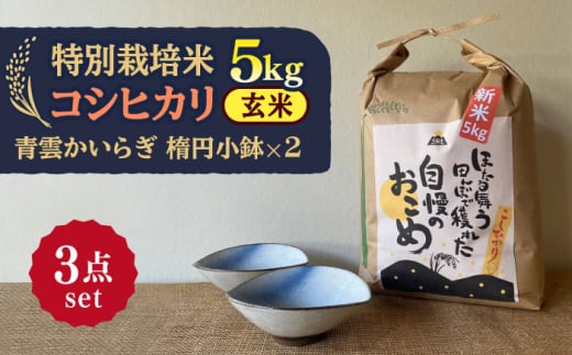 9回定期便】八重原米5kg（5kg×1袋）白米｜ふるラボ