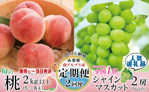 5-56 【山梨県産 定期便2回送り】南アルプスの果物セット