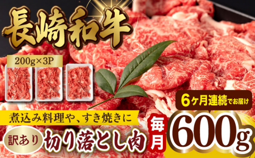 第6回定期便】【訳あり】 切り落とし 600g 長崎和牛 黒毛和牛 【夢