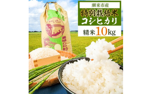 2024年1月発送開始『定期便』特別栽培米コシヒカリ精米10kg全3回