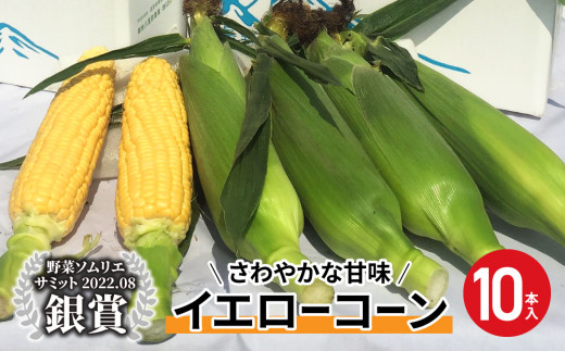 【先行予約2024年発送】東御市産とうもろこし（イエローコーン）10本 ※2024年7月中旬頃～9月中旬頃に順次発送予定※着日指定不可