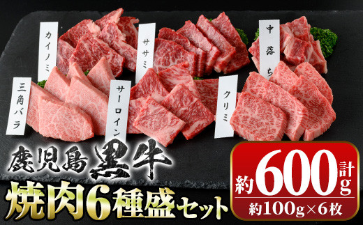 B01033 鹿児島黒牛 食べ比べ焼肉6種盛(計約600g・各100g×6種)【新村