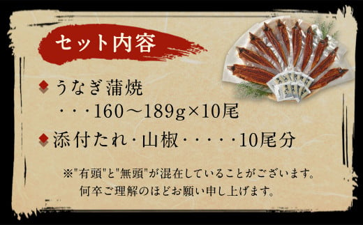 鰻天屋の九州産うなぎ 蒲焼 10尾 セット (1尾あたり160～189g)