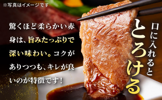 ステーキ 人気 和牛  壱岐牛 希少 柔らかい やわらかい 贈り物   肉 黒毛
