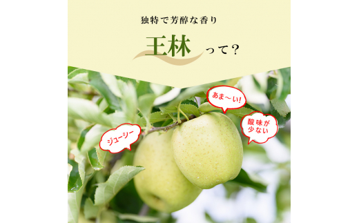 1月発送】（13度糖度保証）贈答用王林約5kg【弘前市産・青森りんご