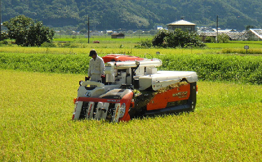 1月12日発送】米農家つきたて杵つきもち10個入×3袋 添加物不使用