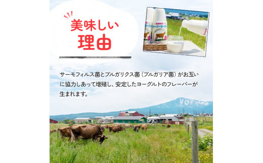 900ml×1本 濃厚な飲むヨーグルト「ジャージーヨーグルト」 - 秋田県