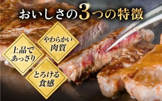 ステーキ 人気 和牛  壱岐牛 希少 柔らかい やわらかい 贈り物   肉 黒毛