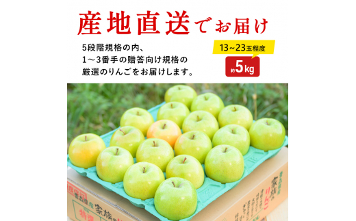 【3月発送】（13度糖度保証）贈答用王林約5kg【弘前市産・青森りんご】