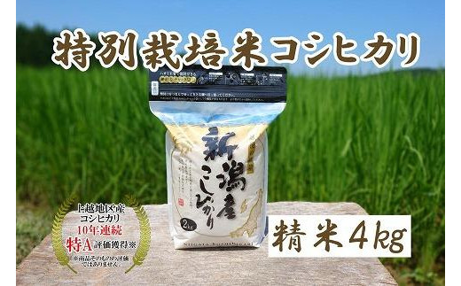 令和5年産｜新潟上越三和産｜特別栽培米コシヒカリ（従来種）4kg（2kg×2）精米 1126005 - 新潟県上越市