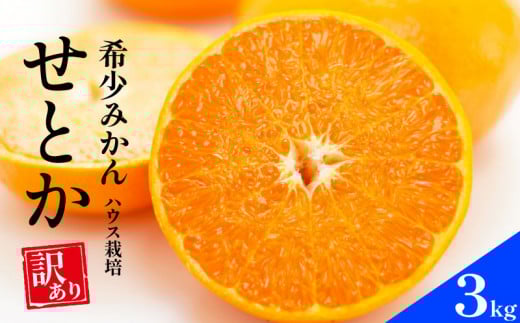 先行予約 訳あり せとか 3kg ハウス栽培  柑橘 フルーツ 果物 蜜柑 みかん くだもの mikan かんきつ オレンジ せとか 高級柑橘 スイーツ デザート 果実 果汁 甘い ジューシー おいしい 特産品 国産 農園 直送 産地 直送 ギフト 贈答 プレゼント 愛媛県 愛南町 豊田農園