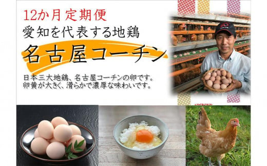 【12か月定期便】日本三大地鶏！！ 「純系　名古屋コーチンの卵」（30個） 本当に美味しい食べ物は調味料の味に負けません！ 1125432 - 愛知県大府市