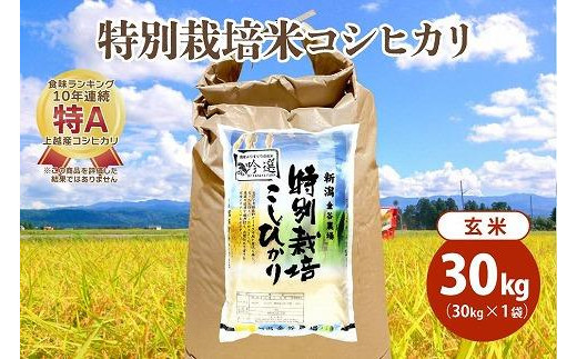 令和5年産|新潟上越三和産|特別栽培米コシヒカリ(従来種)30kg(30kg×1)玄米 1126003 - 新潟県上越市