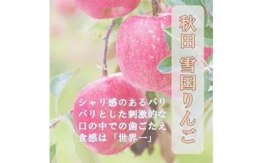 秋田県産 りんご ふじ 5kg 最高の甘味と香り 産地直送[B6-9902]