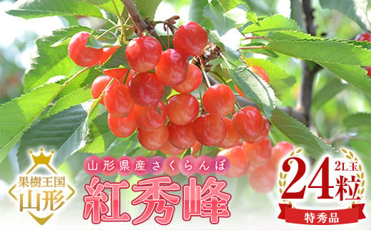 【令和7年産 先行予約】山形県産さくらんぼ 紅秀峰 特秀 2L玉 24粒 化粧箱入り FSY-1097 1160628 - 山形県山形県庁