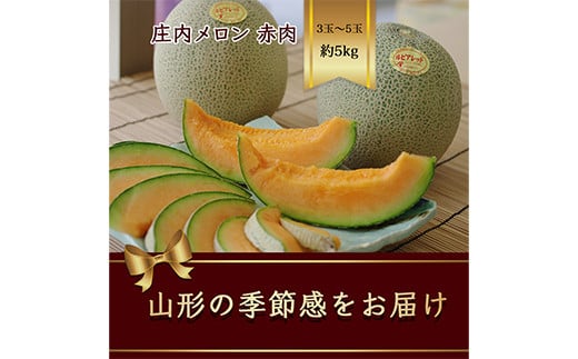 山形県庄内産 メロン 3玉入～5玉入 約5kg 赤肉 《品種の指定はできません》【2025年6月から発送】  赤肉メロン デザート フルーツ 果物 くだもの 果実 食品 山形県 FSY-1066 1159473 - 山形県山形県庁