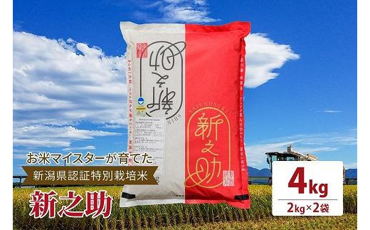 令和5年産お米マイスターが育てた新潟県認証特別栽培米「新之助」上越頸城産 4kg(2kg×2)精米 1126057 - 新潟県上越市
