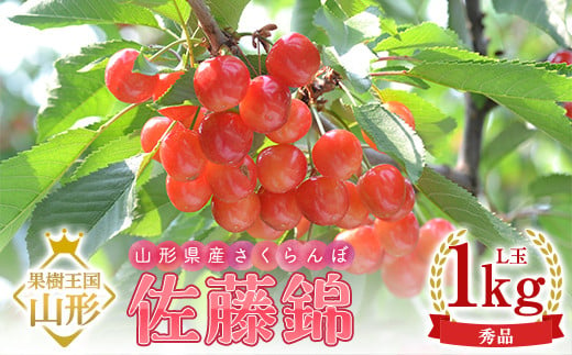 【令和7年産 先行予約】山形県産さくらんぼ 佐藤錦 秀品 L玉 1kg (500g×2パック) 化粧箱入り FSY-1092 1160625 - 山形県山形県庁