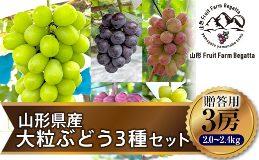 ≪先行予約≫贈答用 2024年山形県産 品種おまかせ 大粒ぶどう3種