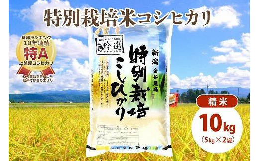 令和5年産|新潟上越三和産|特別栽培米コシヒカリ(従来種)10kg(5kg×2)精米 1125994 - 新潟県上越市