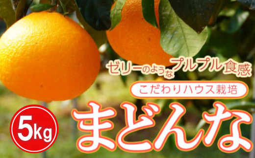 ハウス栽培 正品 まどんな 5kg みかん 20000円 愛果28号 紅まどんな 同品種 あいか アイカ 高級 人気 ブランド 柑橘 果物 フルーツ 期間限定 産地直送 国産 農家直送 特産品 お取り寄せ ギフト プレゼント お歳暮 mikan 蜜柑 ミカン マドンナ スマイルカット 甘い おいしい ゼリー ぷるぷる 前田ファーム 愛南町 愛媛県