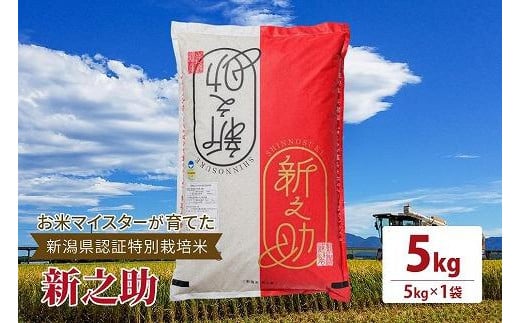 令和5年産お米マイスターが育てた新潟県認証特別栽培米「新之助」上越