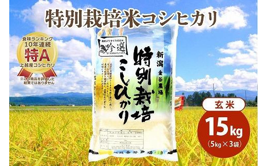 令和5年産|新潟上越三和産|特別栽培米コシヒカリ(従来種)15kg(5kg×3)玄米 1126000 - 新潟県上越市