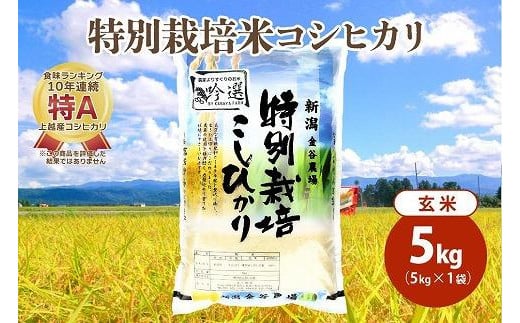 令和5年産|新潟上越三和産|特別栽培米コシヒカリ(従来種)5kg(5kg×1)玄米 1125998 - 新潟県上越市