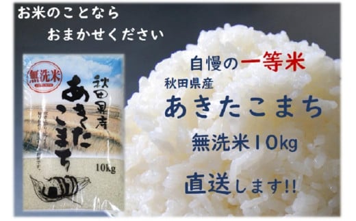 令和5年産 秋田県産あきたこまち 一等米 農家直送 無洗米10kg 1123704