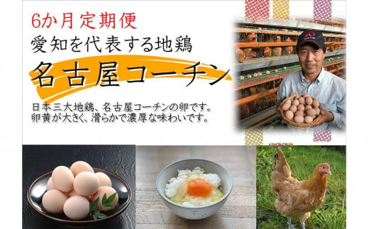 【6か月定期便】日本三大地鶏！！ 「純系　名古屋コーチンの卵」（30個） 本当に美味しい食べ物は調味料の味に負けません！ 1125431 - 愛知県大府市