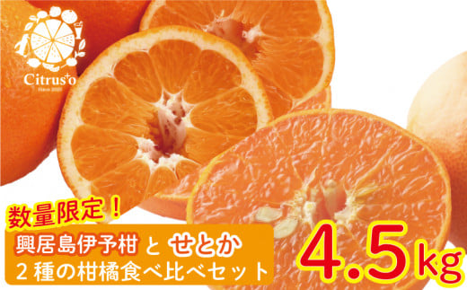 【先行予約・2025年2月上旬から発送】興居島伊予柑とせとか 2種の柑橘食べ比べセット 約4.5kg みかん 柑橘 みかん フルーツ みかん 食べ比べ ミカン みかん 蜜柑 柑橘 果物 くだもの フルーツ グルメ 愛媛県 松山市 1153454 - 愛媛県松山市