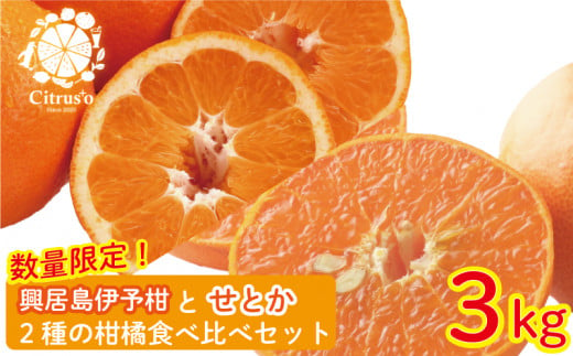 【先行予約・2025年2月上旬から発送】興居島伊予柑とせとか 2種の柑橘食べ比べセット 約3kg みかん 柑橘 みかん フルーツ みかん 食べ比べ ミカン みかん 蜜柑 柑橘 果物 くだもの フルーツ グルメ 愛媛県 松山市 1153453 - 愛媛県松山市