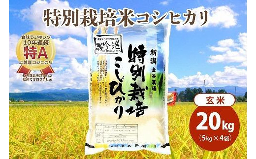 令和5年産|新潟上越三和産|特別栽培米コシヒカリ(従来種)20kg(5kg×4)玄米 1126001 - 新潟県上越市