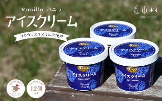 【うぶやま牧場】バニラアイスクリーム（ブラウンスイスミルク使用）12個入り 1128956 - 熊本県産山村