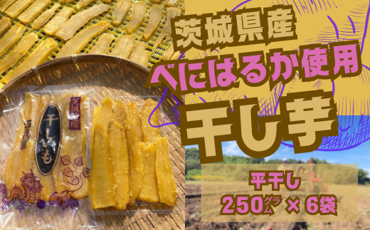 【12月以降発送】茨城県産 干し芋 平干し 1.5kg（250グラム×6袋）【国産干し芋 芋 べにはるか ほし芋 さつまいも スイーツ干し芋 お菓子  甘い ほしいも 常陸太田干し芋 人気干し芋 お取り寄せ おやつ 和菓子】|