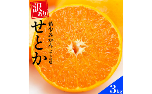 訳あり せとか 3kg ハウス栽培 みかん 蜜柑 紅まどんな 甘平 高級 人気 ブランド 減農薬 柑橘 果物 フルーツ ギフト 贈答 プレゼント  発送:2024年2月1日～(なくなり次第終了) 豊田農園