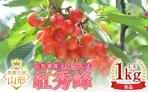 [令和7年産 先行予約]山形県産さくらんぼ 紅秀峰 秀品 L玉 1kg バラ詰め 化粧箱入り