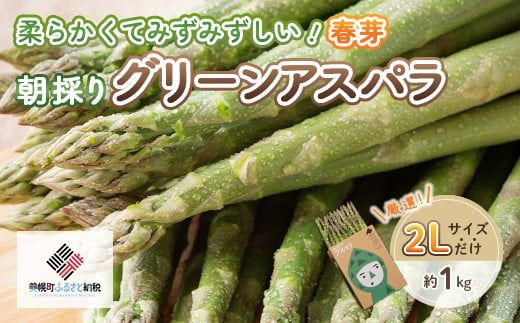 北海道美幌町のふるさと納税 [先行受付]2025年産 柔らかくて瑞々しい朝取りグリーンアスパラ(春芽)2L 1kg【配送不可地域：離島】 ふるさと納税 人気 おすすめ ランキング アスパラ アスパラガス グリーンアスパラ 朝どれ 新鮮 野菜 北海道 美幌町 送料無料 BHRG029