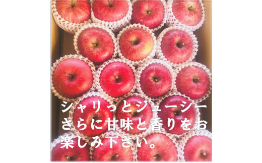 秋田県産 りんご ふじ 5kg 最高の甘味と香り 産地直送[B4-9902]