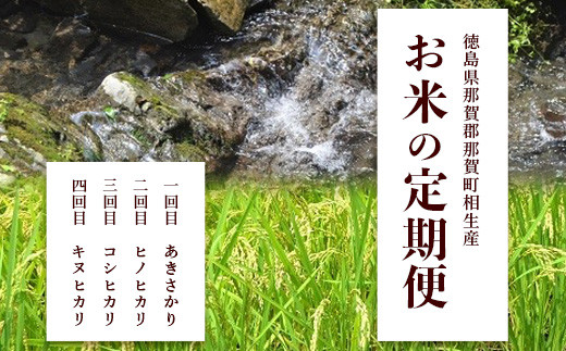 【定期便 4回配送】那賀町のお米 4種 バラエティ 食べ比べ 定期便 10kg × 4回 (合計40kg) お米 こめ おこめ 米 ご飯 ごはん 白米  はくまい 白ごはん 白ご飯 和食 おにぎり お弁当 4ヵ月 4ヶ月 あきさかり ヒノヒカリ コシヒカリ キヌヒカリ 精米 相生 YS-7