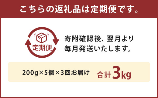 【3ヶ月定期便】黒樺牛ビーフカレー200g×5パック