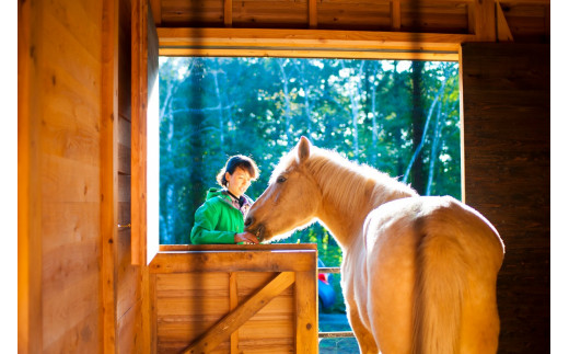 15:30 Horse Care：ブラッシングや手入れ、、餌やりや世話の基本も体験しながら、馬について学びます。