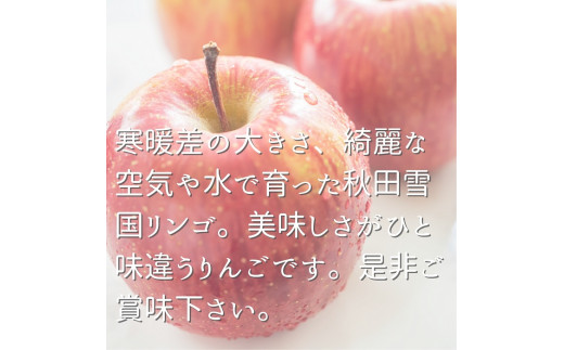 秋田県産 りんご ふじ 5kg 最高の甘味と香り 産地直送[B4-9902] - 秋田
