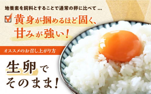 最高級 卵 地養卵 Lサイズ 40個 長崎県産 西海市 たまご 卵 玉子