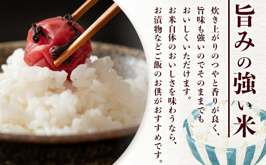 定期便6回 那賀町のお米 コシヒカリ 定期便 お米 こめ おこめ 米 ご飯