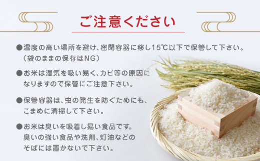 3回定期便】くまさんの輝き 無洗米 5kg【有限会社 農産ベスト