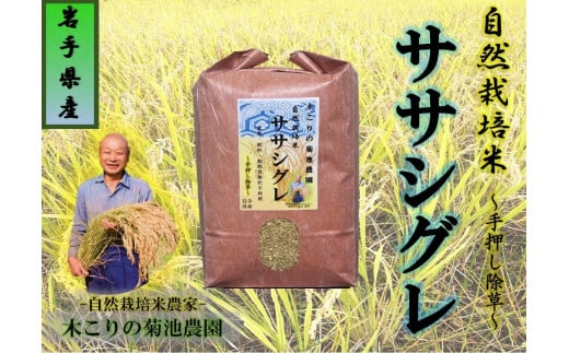 【数量限定】木こりの菊池農園 自然栽培米【ササシグレ】10㎏ 白米　新米 米 希少 ご飯 ごはん おにぎり お米 炊きたて 岩手県 北上市 I0040 378402 - 岩手県北上市